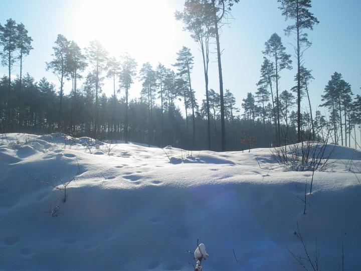 IMGP0379.JPG