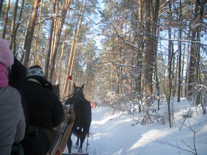 IMGP0394.JPG